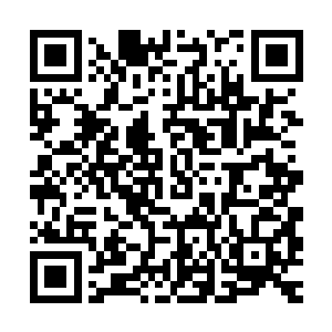 感觉好像停尸房一样……或许刚刚就有人在这里抢救无效而死掉二维码生成