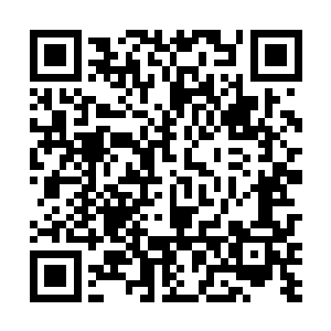 感觉阴谋的规模和层次都远不及蕲州和南京的几起大案二维码生成