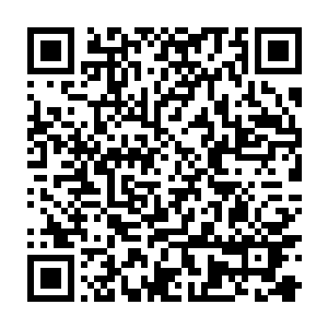 感谢大家来参加一剑峰举办的这次拍卖会……现在让我们开始竞拍人仙期破阶丹二维码生成