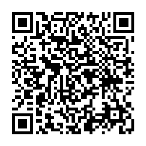 愣是让安德罗希恩的动作硬生生的顿住了……没有再去追杀那个扶桑忍者二维码生成