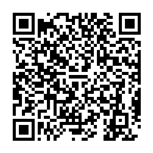 愤怒手中的曼珠沙华之剑再度在青龙的身上立下了一条漆黑狭长的剑痕二维码生成