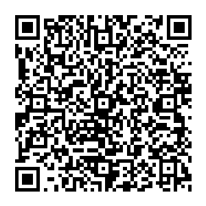 愤怒身上那几乎已经彻底破碎的杀戮天使武装也开始在一阵阵血光的激荡和能量嗡鸣声中以极快的速度修复起来二维码生成