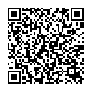 愤怒那扭曲的手臂处表面却忽然出现一根根如同藤蔓一样的细长枝条二维码生成