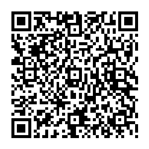 愿意为了你把她们未来的心血全心全意的倾注在一个流淌着你的血脉的生命上的时候二维码生成