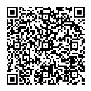 愿意将终身奉献给神主的祭司以上的神职人员才有资格在面见神主的时候将自己的双膝跪在神主所缔造的大地之上二维码生成