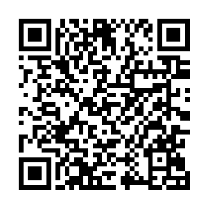 慕容仙儿在拍卖师诉说前言时便是将目光投向上方的木盒二维码生成