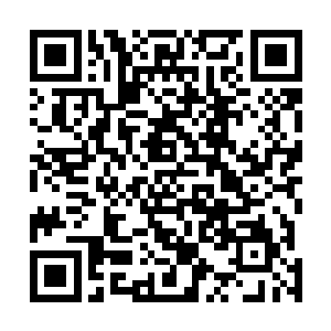 慕容仙儿始终是一副如受了惊的小鹿一般惊慌可怜的模样二维码生成
