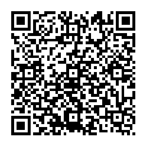 慕容仙儿将已经缩小了好几号成为一具干尸的大鸟尸体随手就这么从高空之中抛下去二维码生成