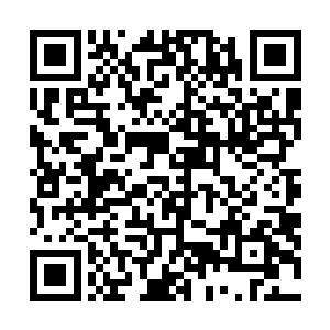 慕容方就在结界壁和苏落的腿脚间一次又一次的被循环着二维码生成