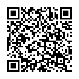 慢慢的形成一种执念――一种一定要看着他平安长大的执念二维码生成
