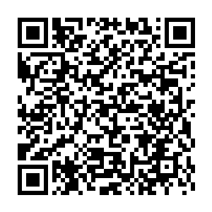 憾山界主和白冰界主当即便是被叶尊这一拳轰击到了不知多远的地方二维码生成