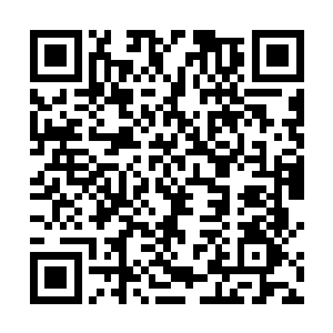 懒洋洋的抬起了手冲着约瑟夫声音传来的方向喊了一声二维码生成