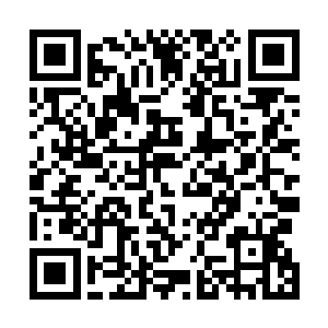 成为了目前仅次于荣耀至死最具影响力的新金属摇滚代表二维码生成