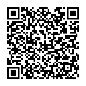 成功用暴力收服了所有蜂群的曲承泽娃娃脸上满是得瑟的瞅着夜染几人二维码生成