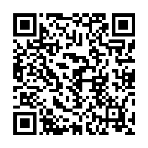 成功绘制了初级力量和初级敏捷并且使其与武器融合生效二维码生成