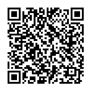 成宣帝闻言只是含笑看了眼满脸娇羞又不掩爱慕望着自己的苏曼颜二维码生成