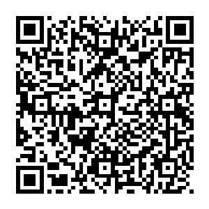 成年后种族和身份的巨大差异早已经使得迪蕾拉忘掉了和面前女主人曾经是玩伴的经历二维码生成