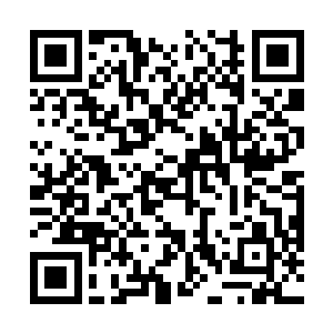 我……不是……裘公公……你……凭什么……杀我……二维码生成