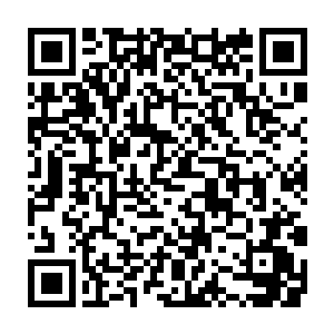我……到站了……我要下……车……我付你车费……不要……发票啊……二维码生成