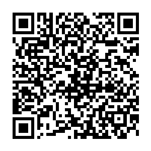 我……我不是……我不是王妃……我不过就是一双破鞋……我……二维码生成