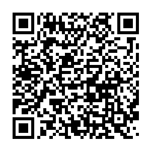 我……我也不知道会是这样……我没想到菲比……会……会帮她……二维码生成
