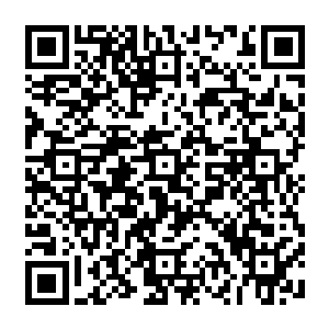 我……我也不知道我为什么要这么做……也……也许……我……我真的爱上你了……二维码生成