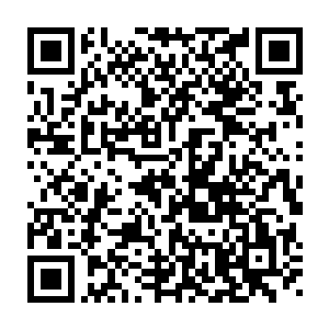 我……我是……不……不会……不会出卖……出卖……道神教的……二维码生成