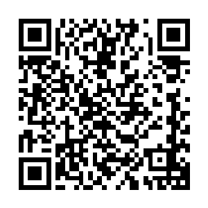 我……我是……奥古拉斯家族的人……你……你不能杀我……二维码生成