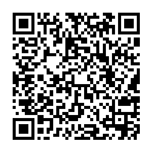 我……我是回不去了……你们一定要好好的……我不能陪大家走下去了……二维码生成