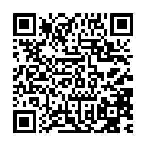 我……我没想放手的……是……是他自己乱动才……才掉下去的二维码生成