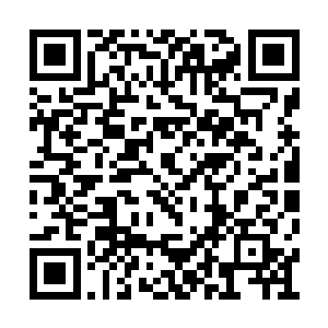 我……爹……是……是个……怎样的……人……二维码生成