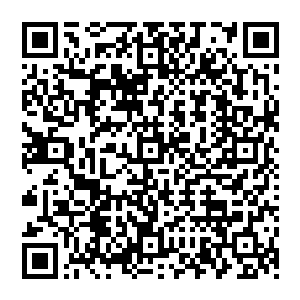我…我不知道…皇上生下来的时候我包裹他…他满月的时候…先皇曾经让人将孩子抱去给他看看二维码生成