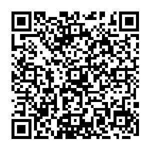 我一份……我和君洋就可以得到百分之五十的君氏集团的股份还有其他的动产不动产二维码生成
