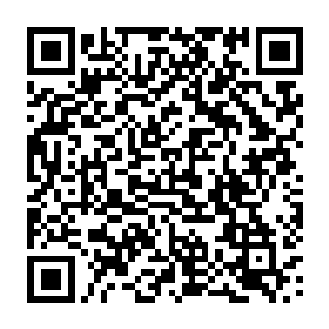 我一定要亲眼看到你们给我报仇………那个王八蛋……等一下你们抓住他二维码生成