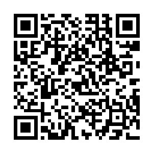 我一直认为可能是他稍微比别人多几件厉害的灵器罢了二维码生成