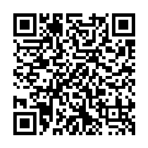 我上午的时间是在骨器店全力完成端木森教习的纹身之术内容二维码生成