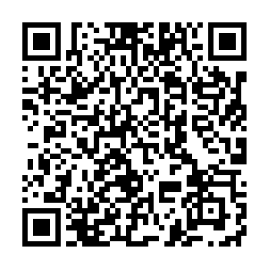 我不与你做这种争辩……终有一天你会为自己的傲慢和无知而……二维码生成