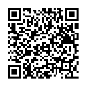 我不会忘记小宝那时候撵我家的鸡我默默心疼的鸡时的样子二维码生成