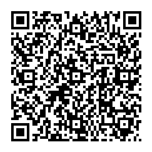 我不会说花城是我的地盘是龙你得盘着是虎你得蹲着这种很没有营养而且又显得我很粗俗的话――二维码生成