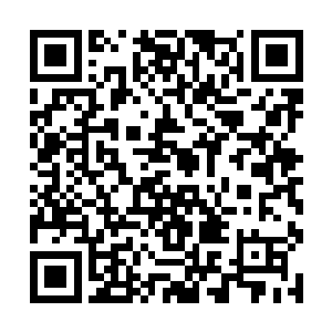 我不得不在荷塘四周安排了许多人巡逻以防不测……二维码生成