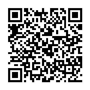我不必真的向你们的家人通知你们已经全部阵亡的消息二维码生成