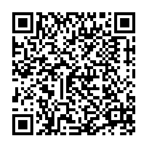 我不愿意他是什么玩意不过是当年我捡来了一条落水狗如今反噬主人二维码生成