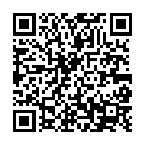 我不是……你们不要乱猜……我不是什么圣诞老人……二维码生成