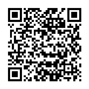 我不是为了这个给你打电话――还记得前段时间撒出去的鱼饵吗二维码生成