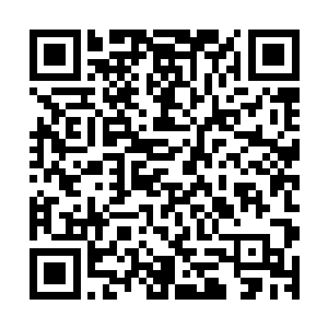 我不由的在心里淡淡的笑了一声――那两个人倒真是尽忠职守二维码生成