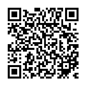 我不知道……我从小被师父收养……这是我第一次离开南方……二维码生成