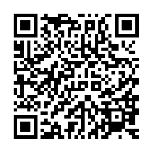 我不知道你是谁……但……如果可以……请你答应我一件事……二维码生成