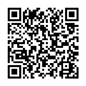 我不确定他会不会把你的事情禀告给祭司秋实大人知晓二维码生成