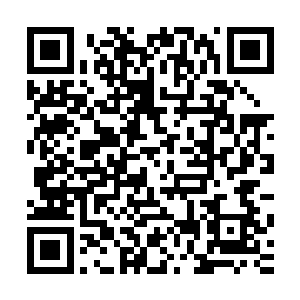 我不管你是因为觉得亏欠想要弥补还是怎么的要把守律找回来二维码生成