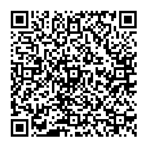 我不能陪你一起走下去了……我……解脱了……哥哥你……一定要……把我的那一份……也一起活下去……二维码生成